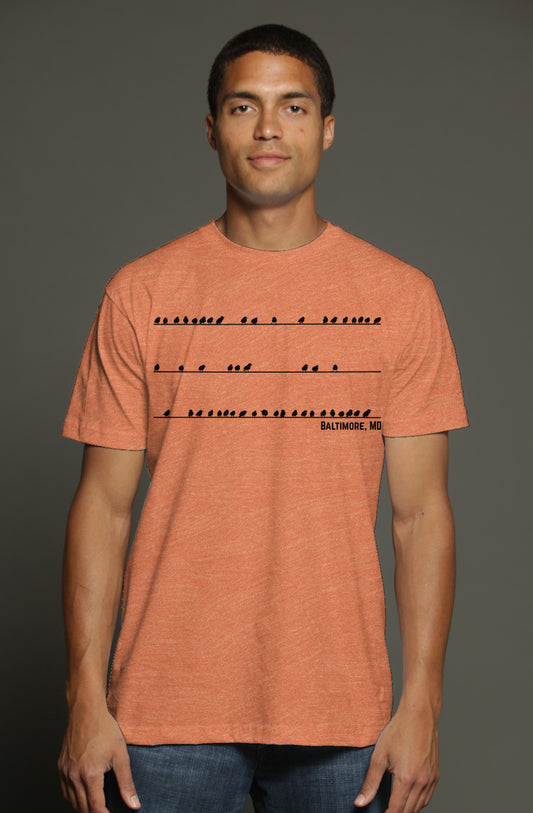 Baltimore Birds on a Wire Tee