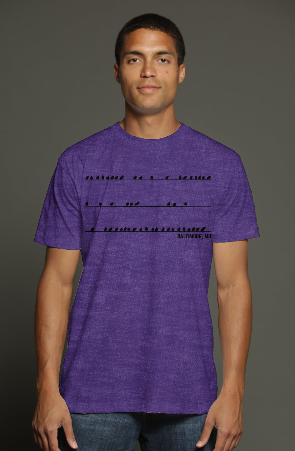 Baltimore Birds on a Wire Tee