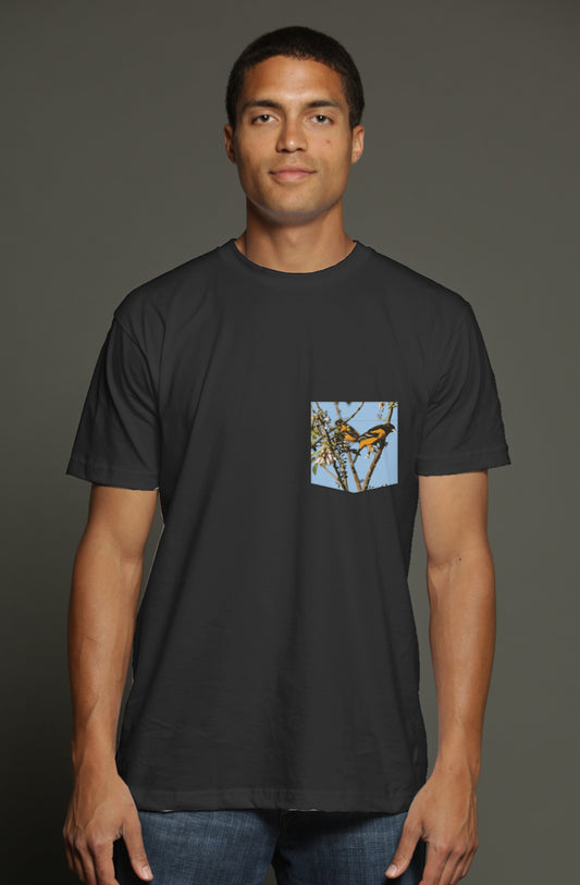 triblend t shirt